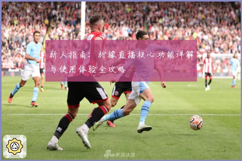 新人指南:柠檬直播核心功能详解与使用体验全攻略