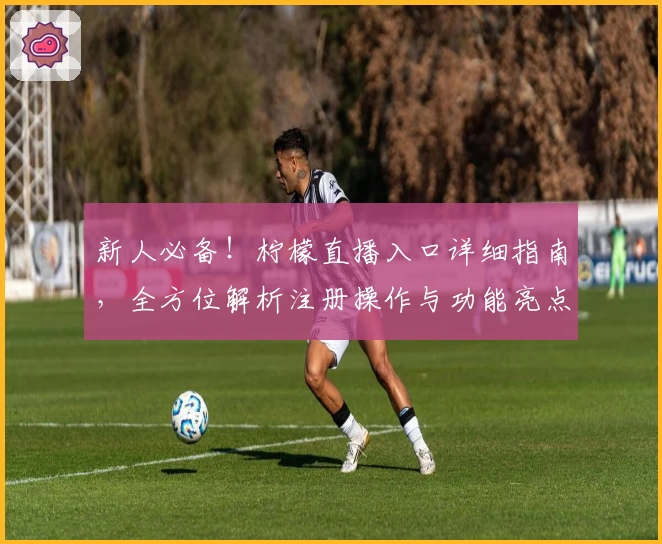 新人必备！柠檬直播入口详细指南，全方位解析注册操作与功能亮点